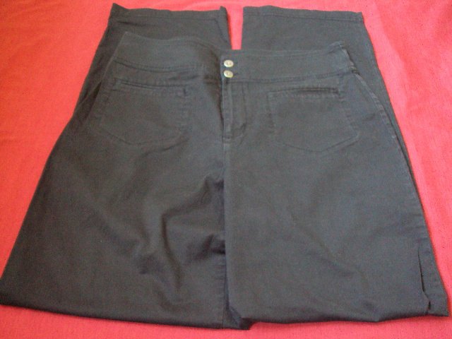 Chico's Womens Straight Leg Pants