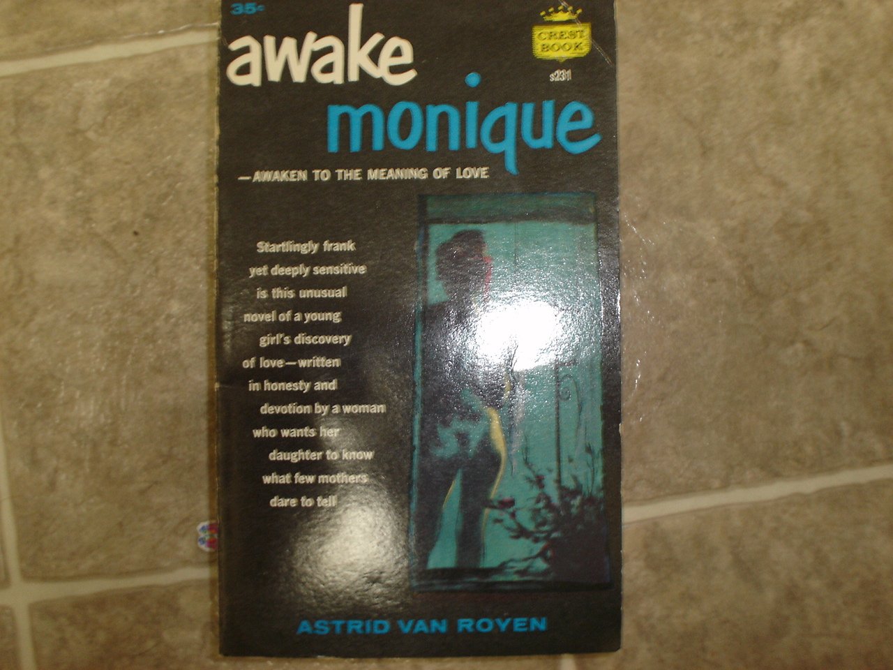 Astrid van Royen "Awake Monique" 1958 vintage pulp rare 1st paperback edition
