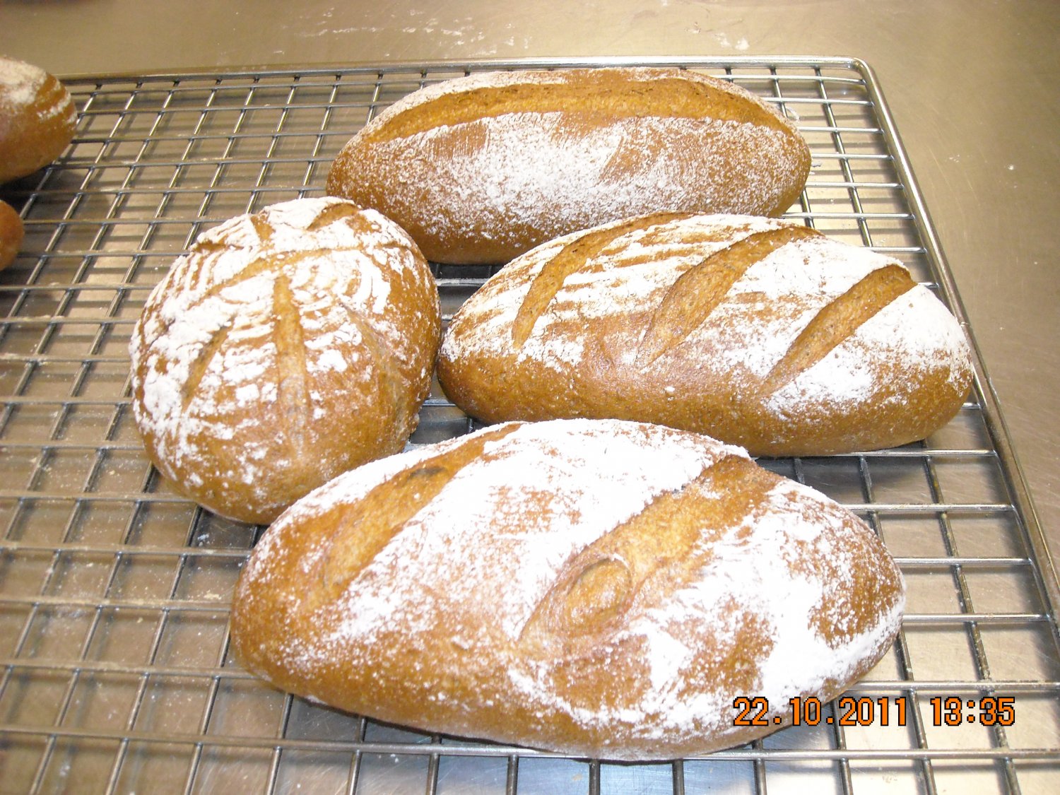 CARAWAY SEED RYE BREAD