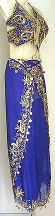 Harem Pant Blue Belly Dancer Costume Dress B
