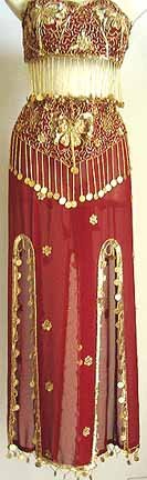 Belly Dance Costume Dress C Maroon