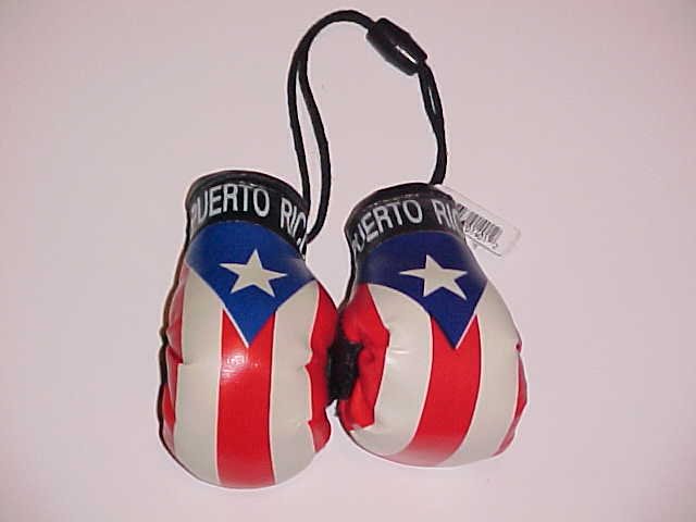 (SOLD!) Mini Puerto Rican Flag Boxing Gloves