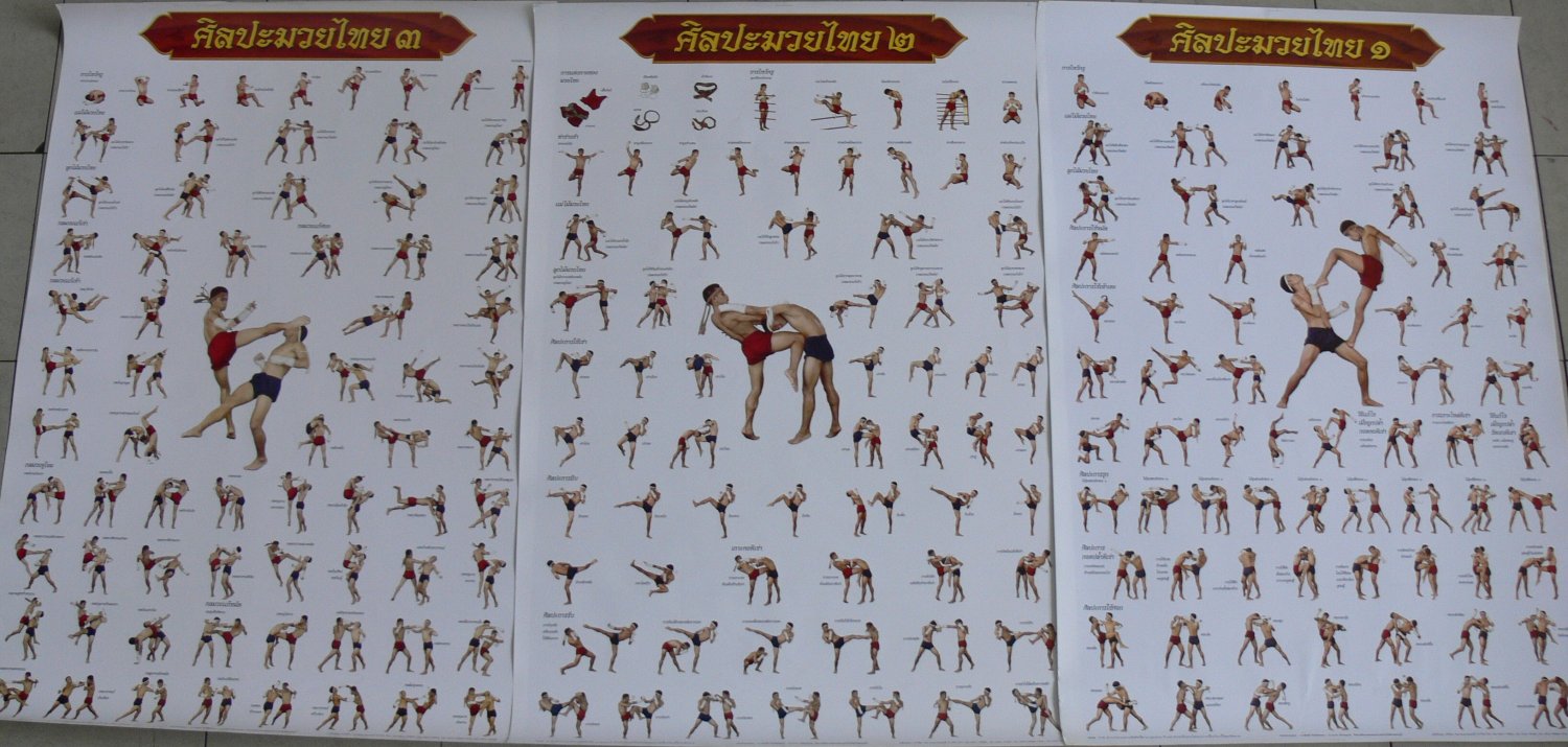 Muay Thai Kick Boxing MMA Martial Art Muaythai Kickboxing Kickboxen Boksen Boks Boksa Gift 3 Poster