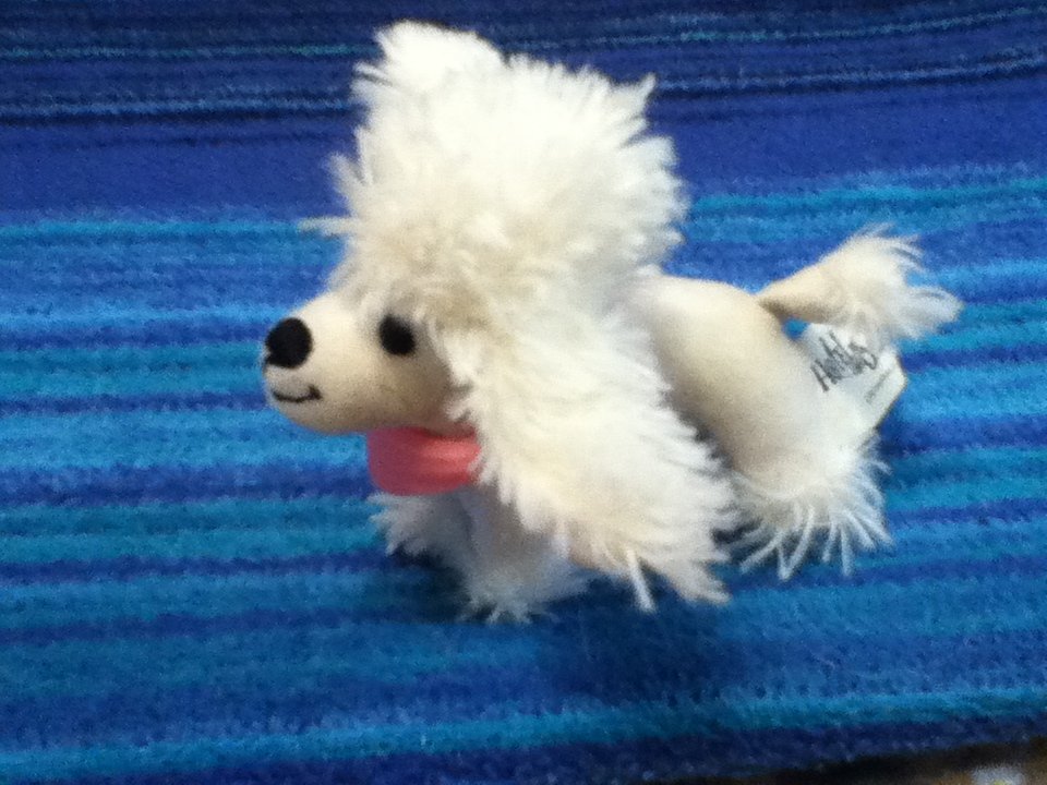 McDonalds Hotel For Dogs Poodle
