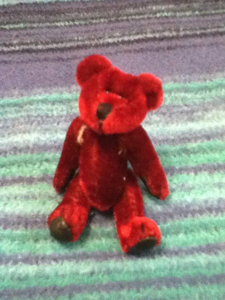 Little Red Bear