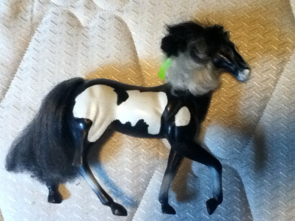 Kid Kore Horse Paint