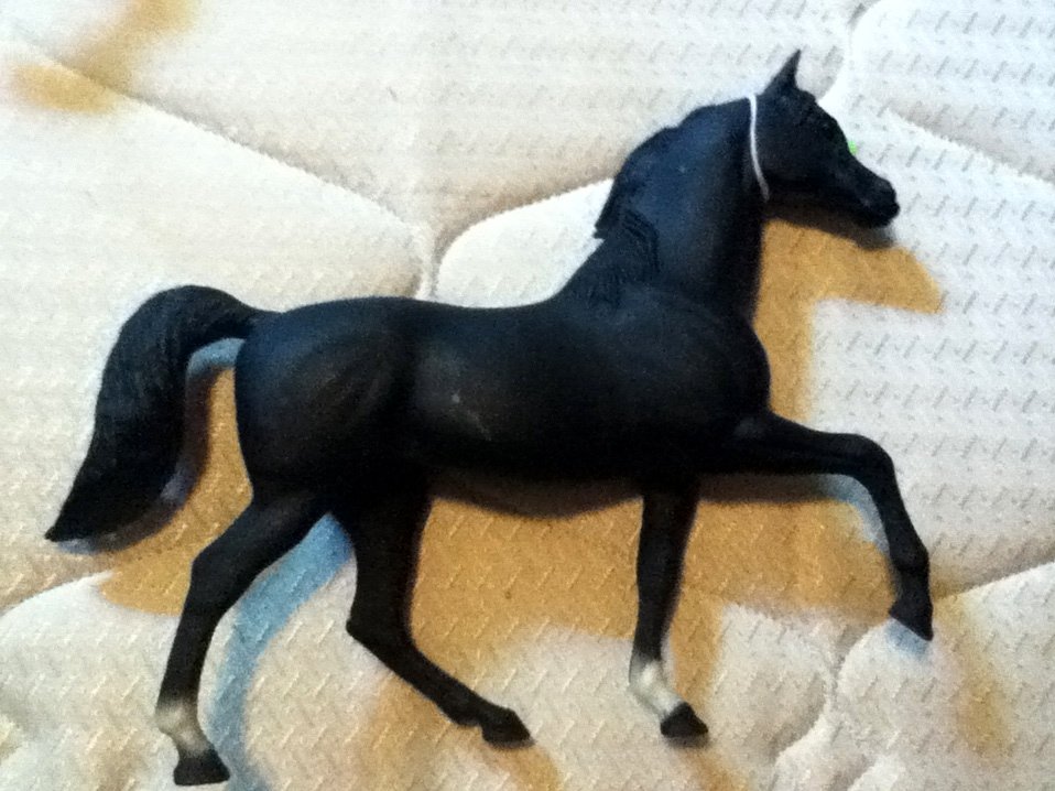 Blue Ribbon Horse Black