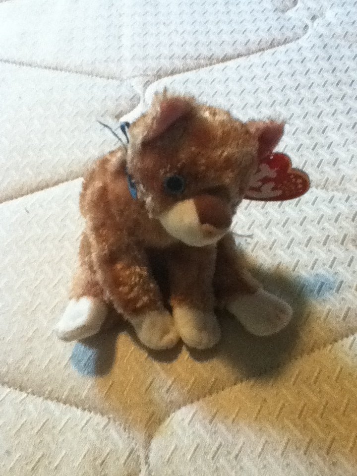 TY Beanie Baby Mattie