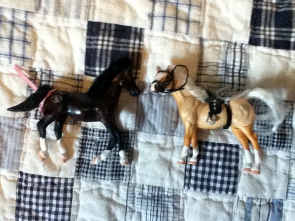 Grand Champions Mini Set