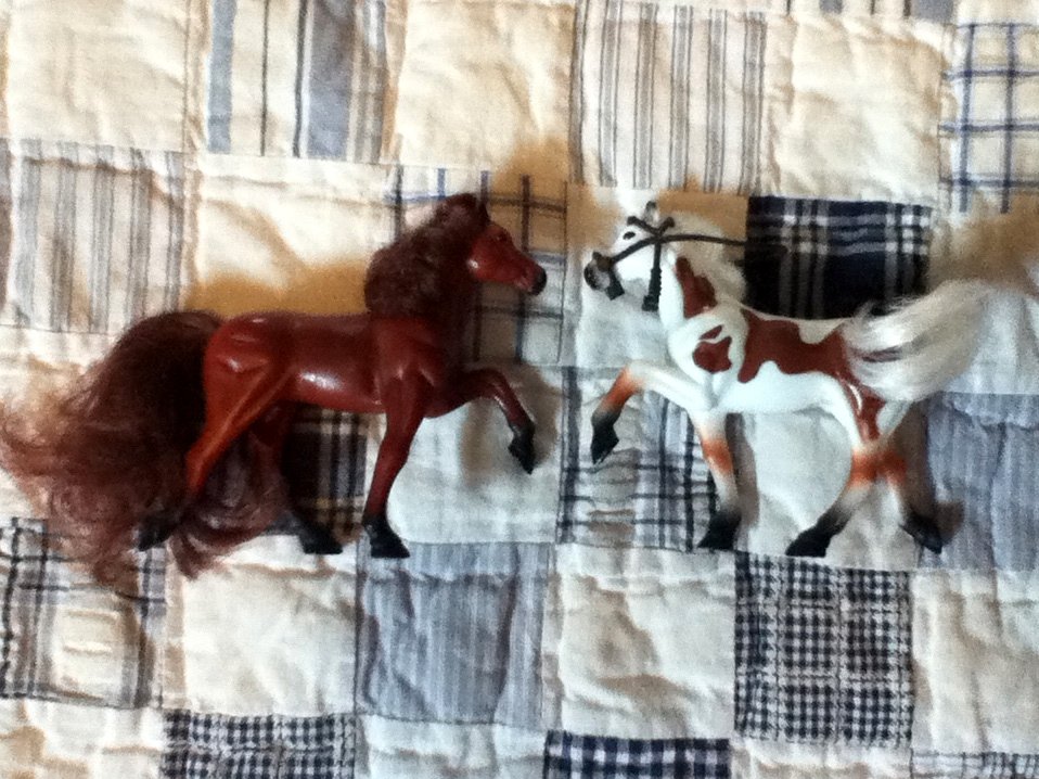 Kid Kore Mini Horses