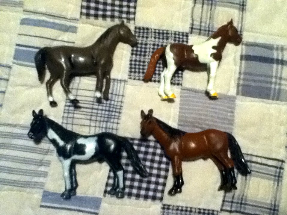 Small Horse Lot