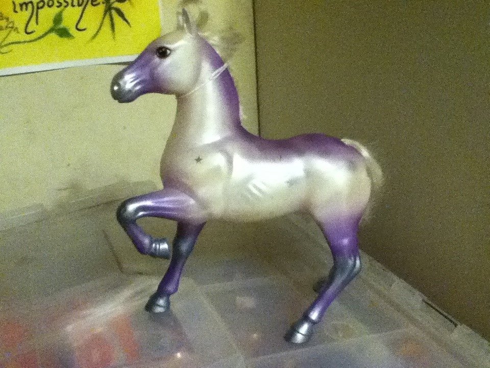 Fashion Star Filly Stallion Cliff