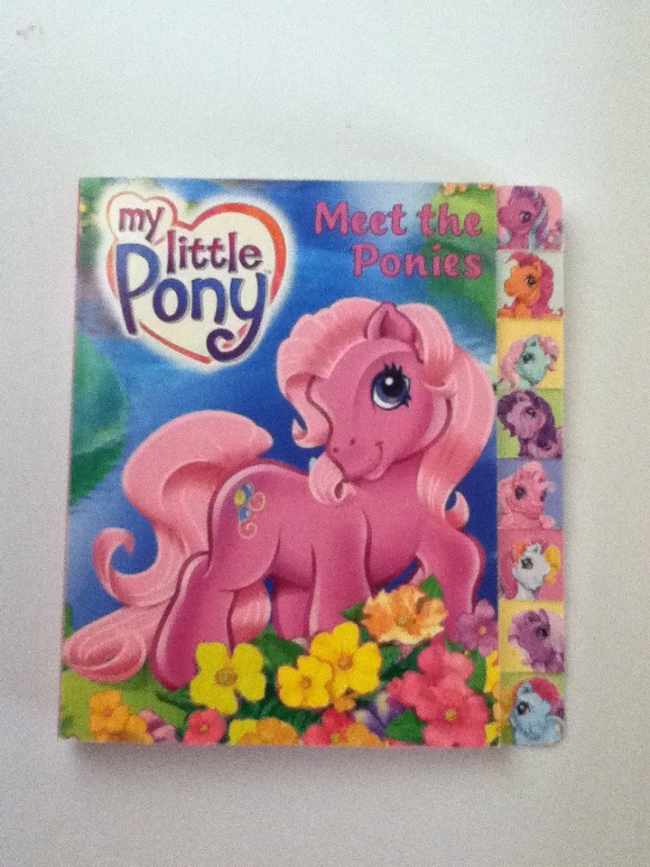 MLP Meet The Ponies Book