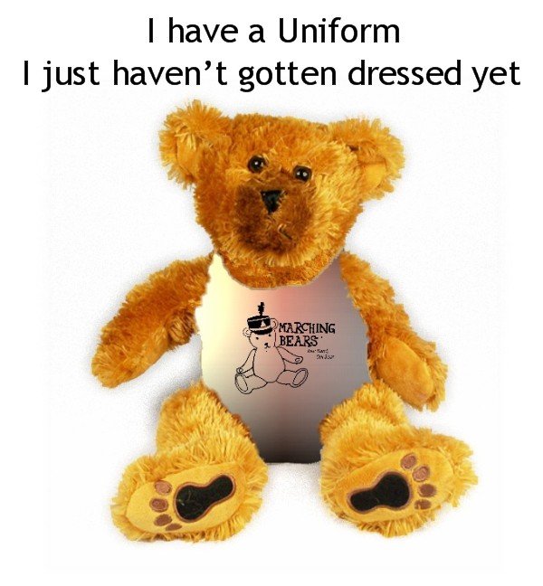 Burlington Township HS Marching Band Uniform Teddy Bear