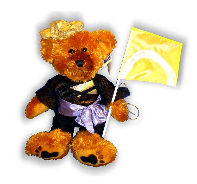 NJ - Westfield HS Color Guard 2010/2011 Teddy Bear