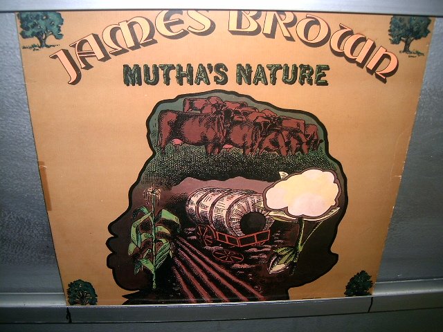 JAMES BROWN mutha's nature LP 1977 SOUL MUSIC EXCELENTE MUITO RARO VINIL