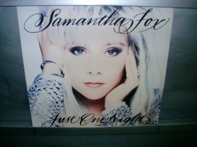 SAMANTHA FOX just one night LP 1991 POP SEMI-NOVO MUITO RARO VINIL