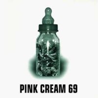 PINK CREAM 69 food for thought CD 2005 HARD ROCK