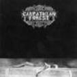CARPATHIAN FOREST black shining leader CD 1998 BLACK METAL