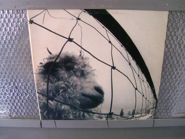 PEARL JAM pearl jam LP 1993 ALTERNATIVE ROCK