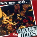 EVIL IDOLS don't mess with the evil idols CD ? PUNK ROCK