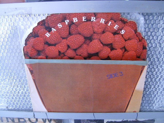 RASPBERRIES raspberries LP 1973 ROCK**