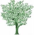 PARTY PLAN SALES A Veritable Gold Mine For Wealth Builders