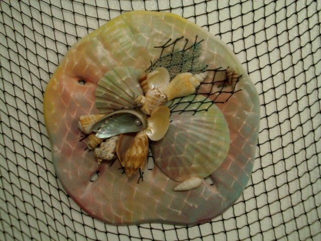 Sand Dollar Wall Plaque (multi color/dark green,sand,yellow)