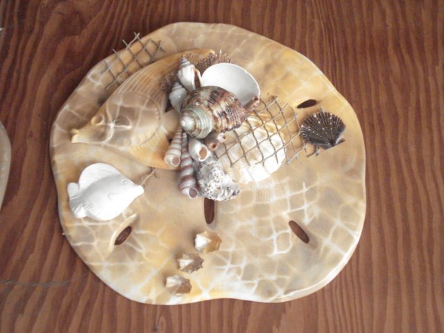 Sand Dollar Wall Plaque Tan w/ Fish Accent