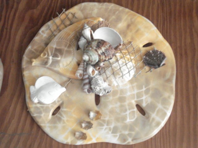 Sand Dollar Wall Plaque Tan w/ Large Fish Accent