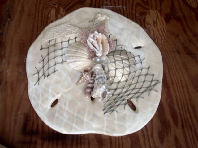 Sand Dollar Wall Plaque White Pearl