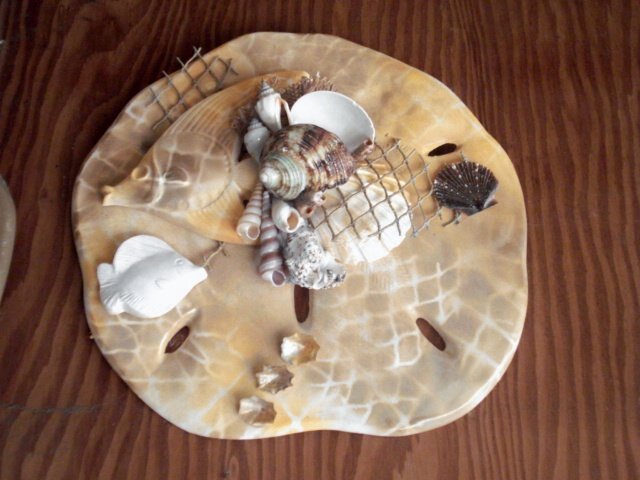 Sand Dollar Wall Plaque Tan With Net