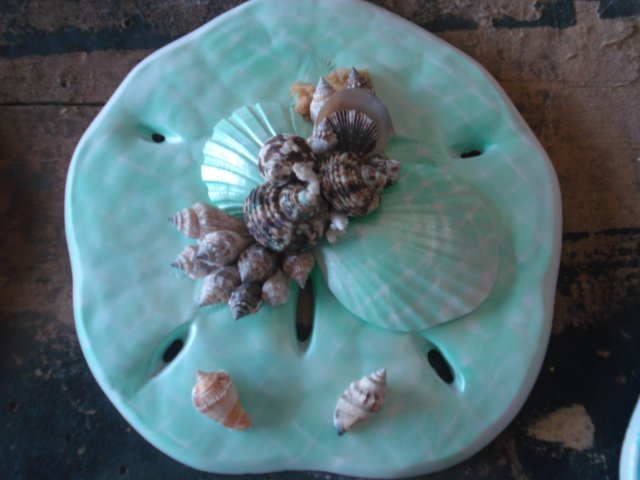 Sand Dollar Plaque Teal