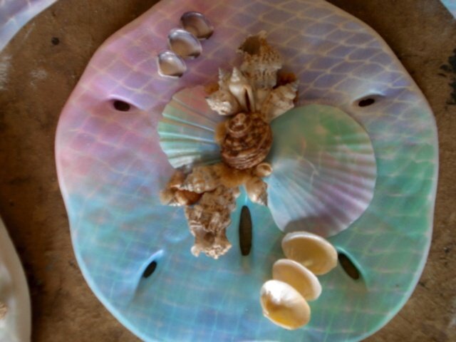Sand Dollar Plaque Pink/Purple/Blue/Green