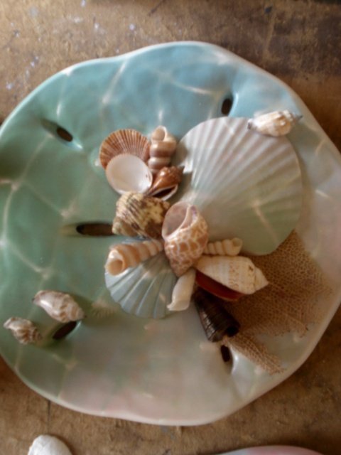 Sand Dollar Wall Plaque Multi Color blue/sand