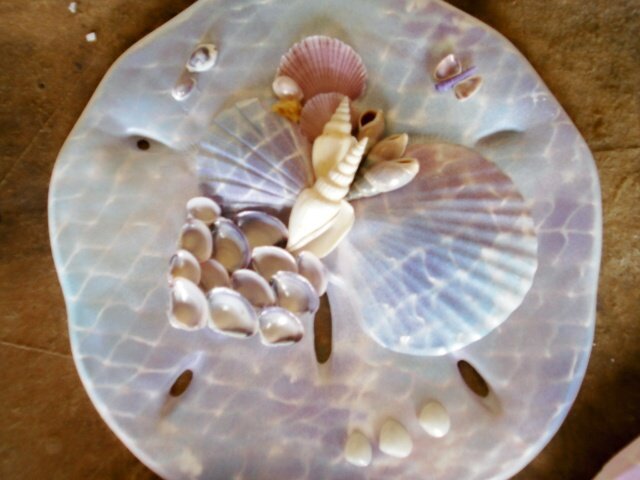 Sand Dollar Plaque light purple/blue pastel