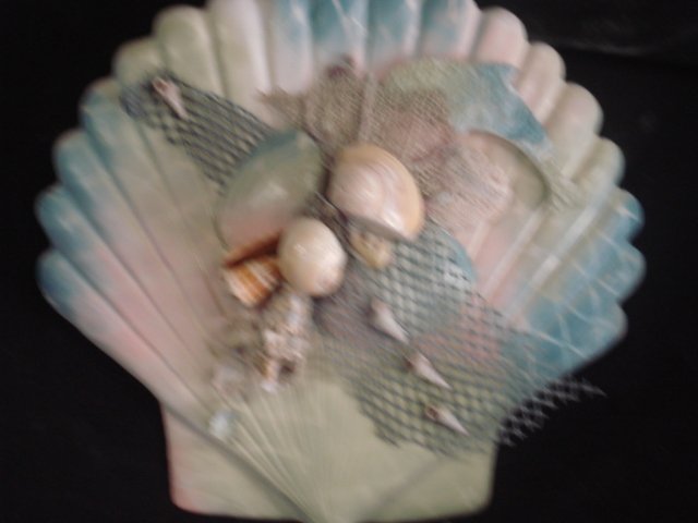 Shell Plaque Multi Color Pastel