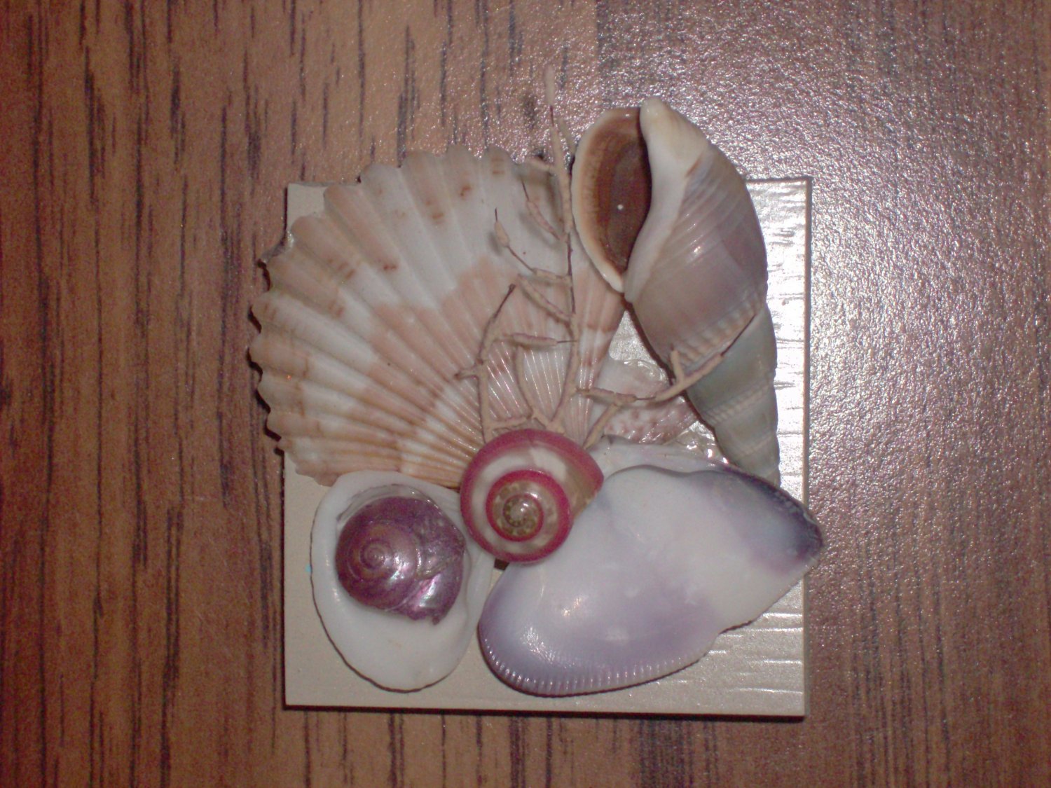 Magnet Natural Colors