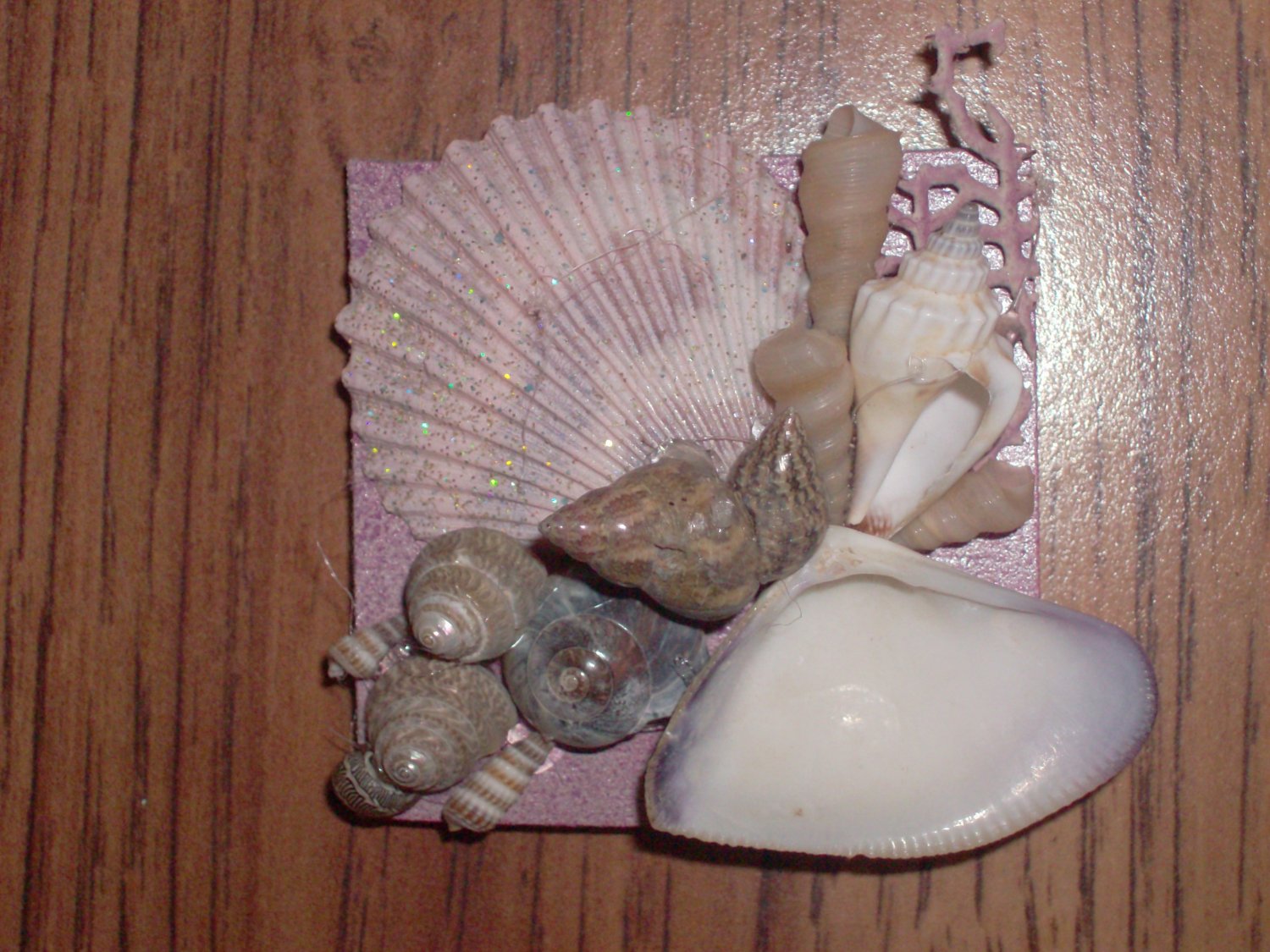 Magnet Pink/Natural Colors