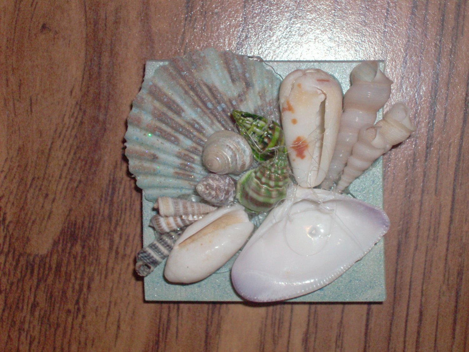 Magnet Teal Background w/green center shell