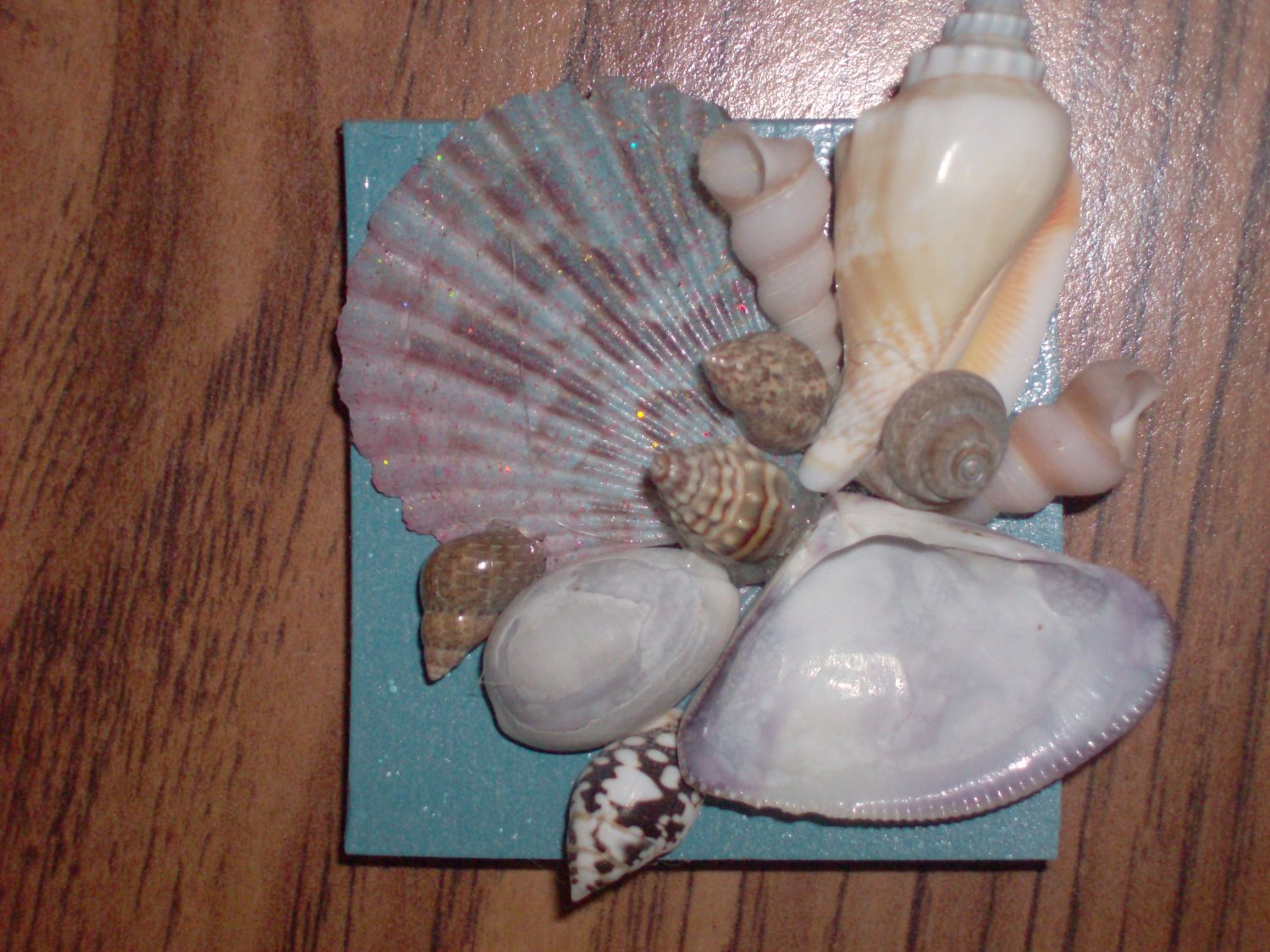 Magnet Blue Background w/multi color large Shell