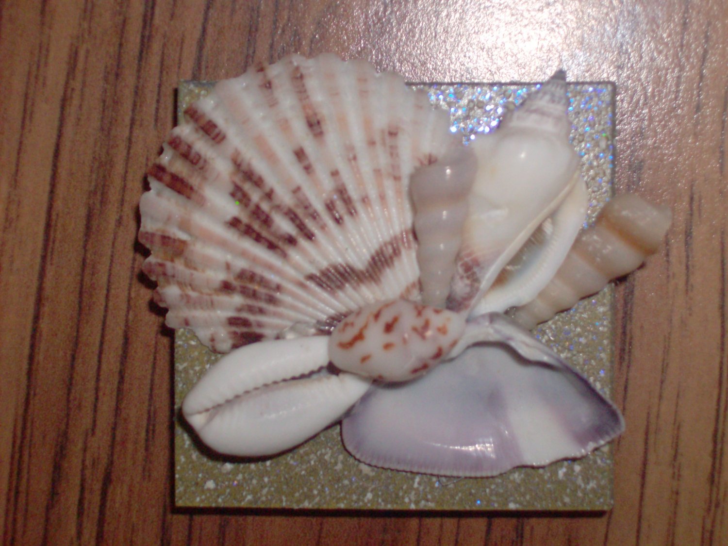 Magnet Green Background with Natural shells