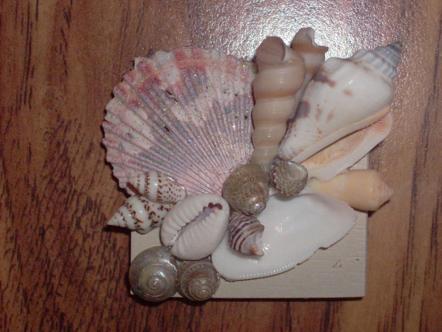 Magnet Tan Background with light pink large shell