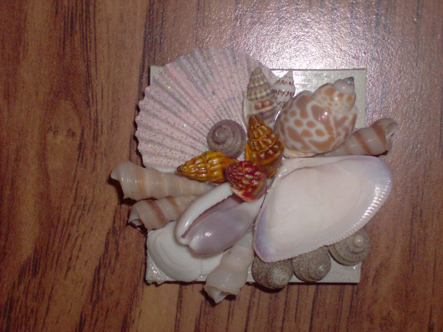 Magnet Tan Background with light pink large shell Multi color center shells