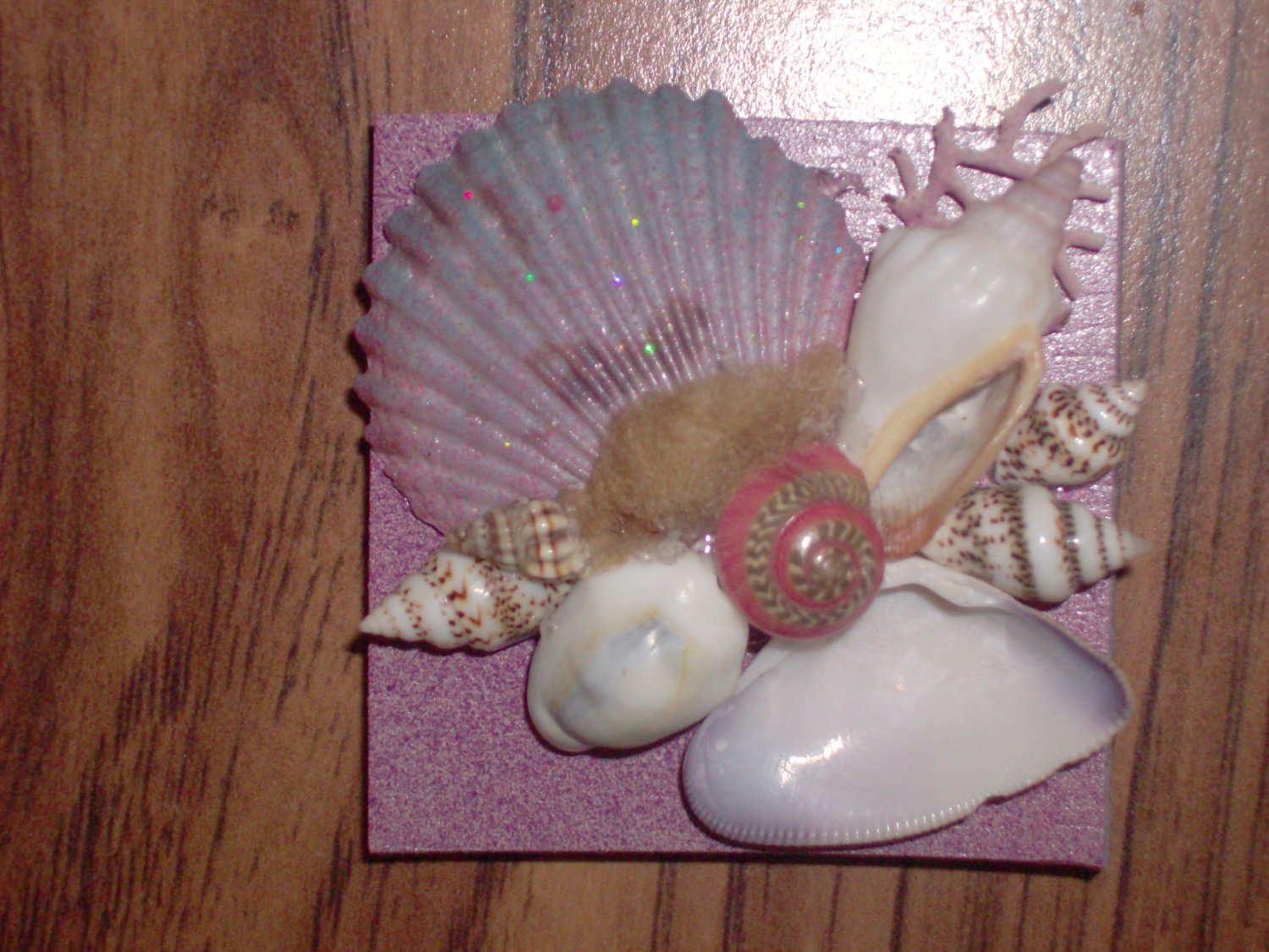 Magnet Pink with pink accent shells and seafan