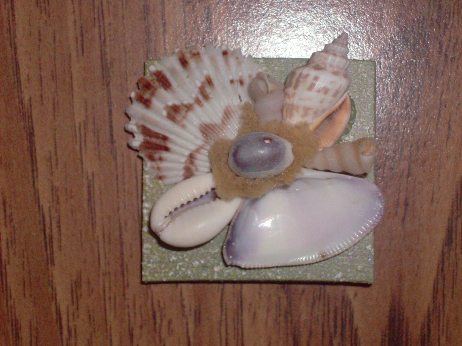 Magnet Green Background with Natural shells Purple Center shell