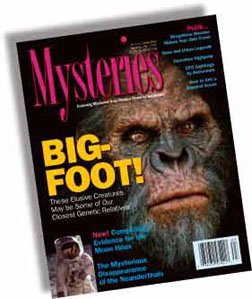 Issue #14 of Mysteries Magazine