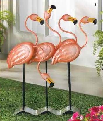 Flock of Flamingos