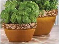 Tuscan Courtyard Planters