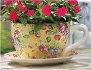 China Rose Teacup Planter